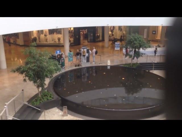 Top 2 Escalator at Erin Mills Town Centre