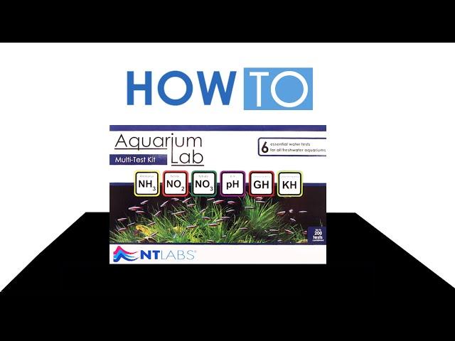 How to Test Your Aquarium Water