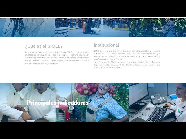 Sistema de Información del Mercado Laboral (SIMEL)