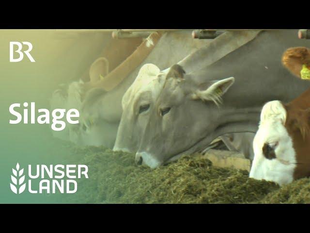 Konserviertes Futter: Silage | Unser Land | BR Fernsehen