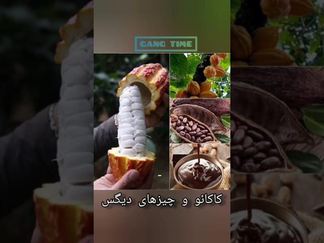 فرق کاکائو با شکلات چیه!؟ #shorts #viral