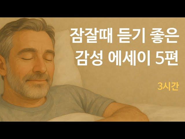  잠잘 때 듣기 좋은 감성 에세이 모음  5편 몰아듣기 |  3시간 힐링 타임