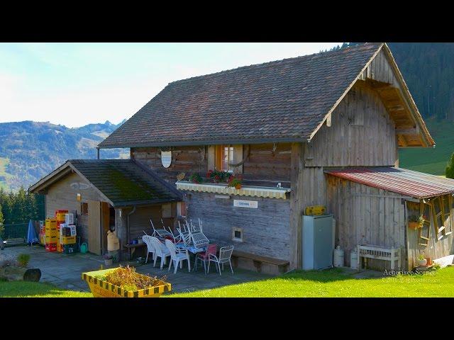 4K Ramenegg, Aegerisee Zug SWITZERLAND アルプス山脈 aerial view