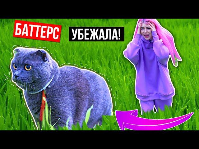 ВЫГУЛИВАЕМ КОШКУ | КОШКА НА УЛИЦЕ | БАТТЕРС УБЕЖАЛА !