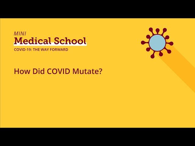 How Did COVID Mutate?