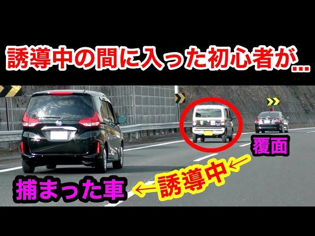 『捕まっている車』と『覆面パトカー』の間に車線変更すると...⁉️　[右走れ 警察 取り締まり 高速道路]