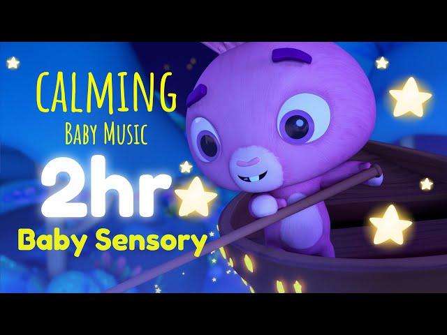 Twinkle Twinkle Little Star! - Calming Sensory Animation - Baby Songs – Infant Visual Stimulation