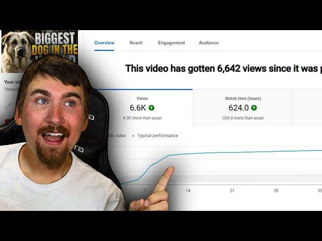 Revealing My Faceless YouTube Channel | HUGE GROWTH in 2 Months!