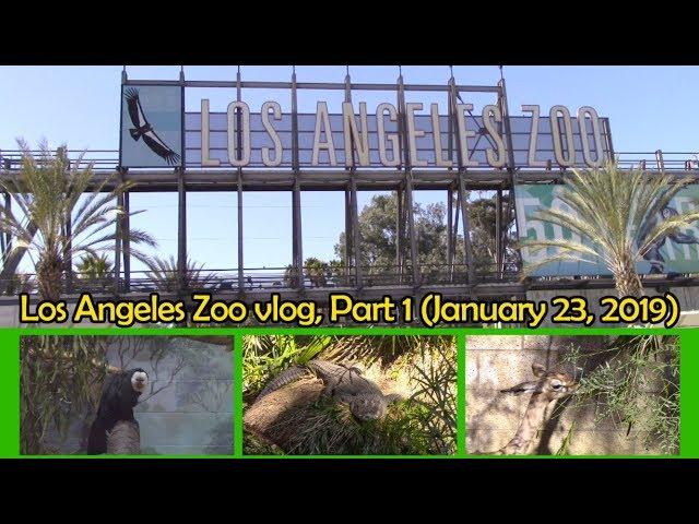 Los Angeles Zoo vlog, Part 1 (January 23, 2019)