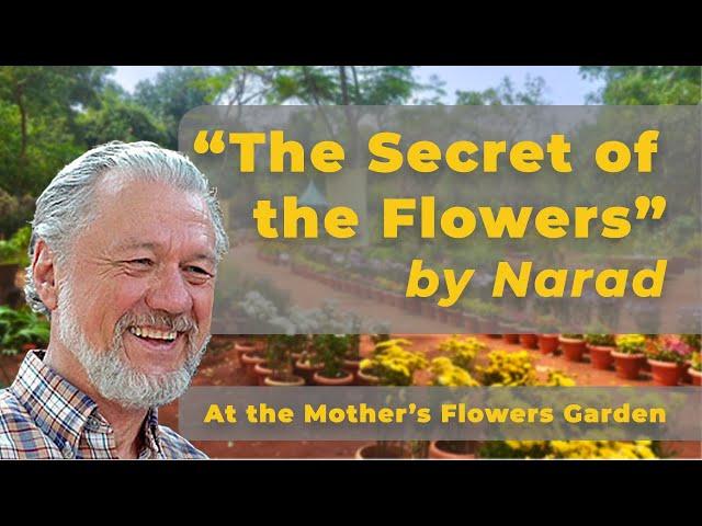 "The Secret of the Flowers" by Narad at the Mother's Flower Garden