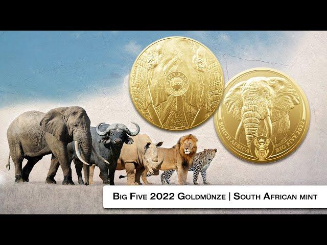 Big Five Goldmünze Elefant 2022 | Big 5 Serie II | Gold Coin South African Mint | Elephant 1 Unze oz