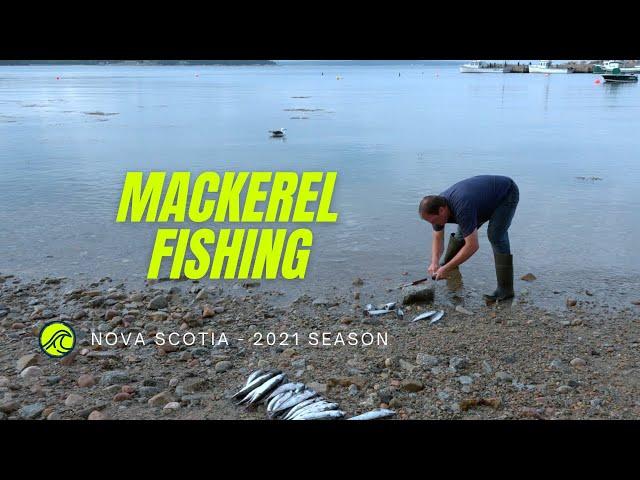 Mackerel Fishing From Shore | Nova Scotia, Canada (2021)