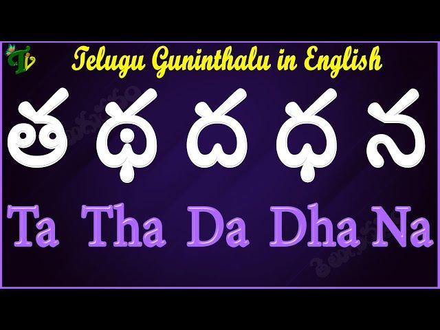 Tha Tha Dha Dha Na Guninthalu English | How to write త థ ద ధ న Guninthalu English |Learn #Guninthalu