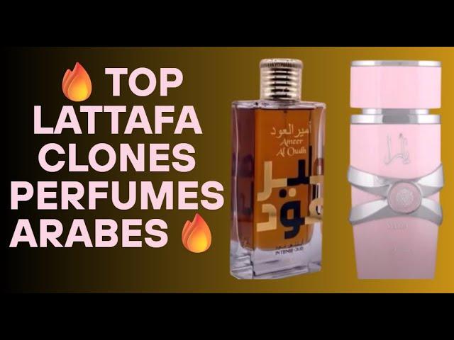 LATTAFA ARAB PERFUMES: Complete List DUPES CLONES 2024