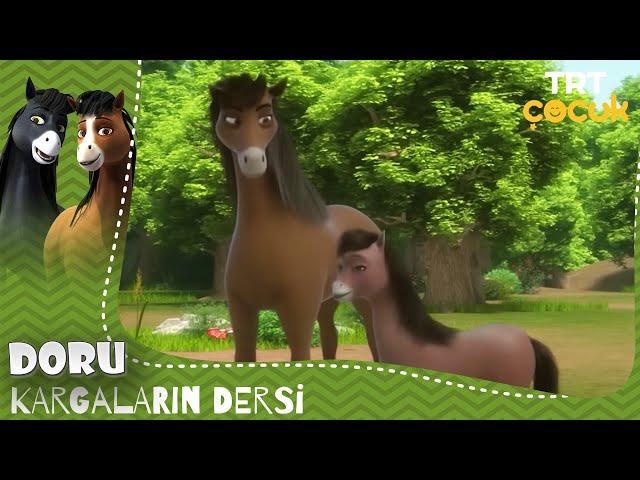 Doru | Kargaların Dersi