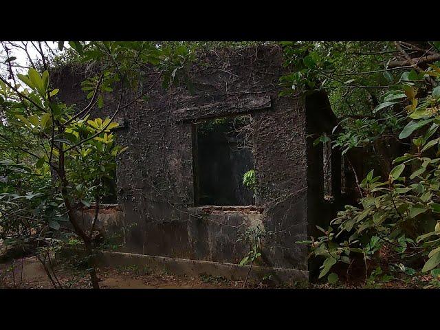 Josie Ambo is live! Lin Fa Shan old School (abandoned ) sa Gitna ng Bundok