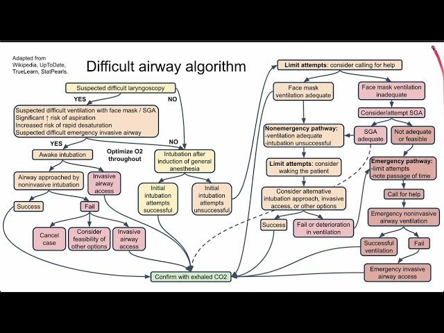 Difficult airway algorithm