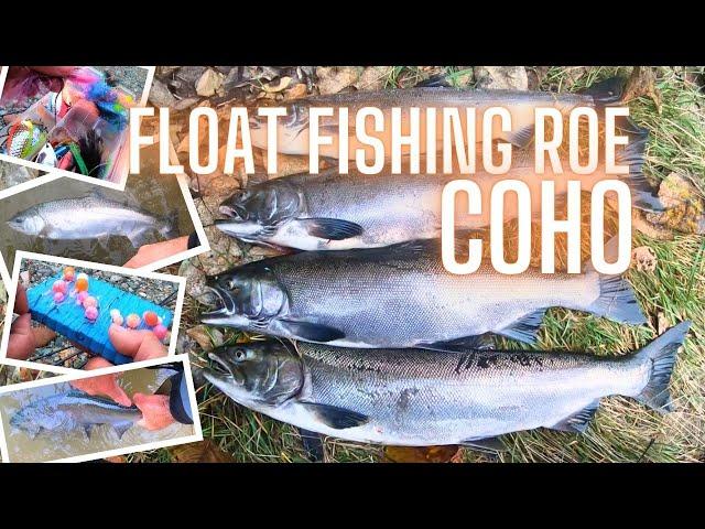 How to Float Fish Roe for River Run Coho Salmon