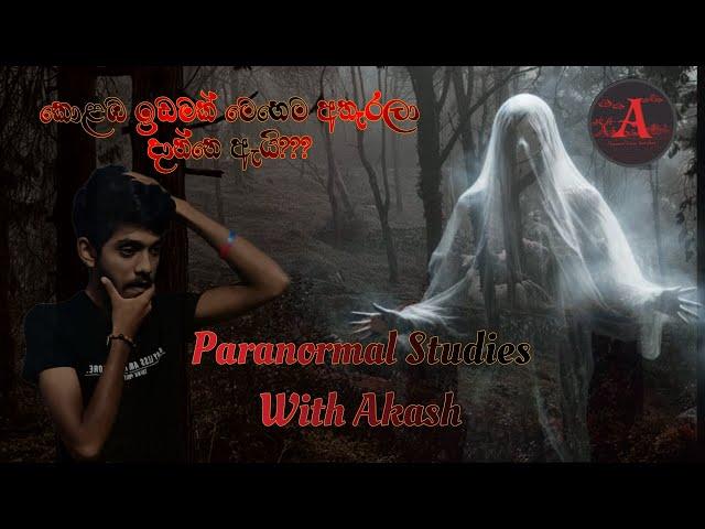 කොළඹ ඉඩමක් මෙහෙම අතෑරලා දාලා තියෙන්නෙ ඇයි??? | Paranormal Studies With Akash #paranormal