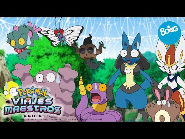 Viajes Maestros Pokémon | Glotón vs Glotón  | Boing