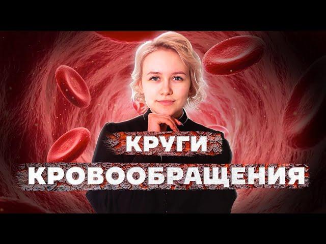 Как легко запомнить КРУГИ КРОВООБРАЩЕНИЯ человека | Биология ОГЭ 2023 | Умскул