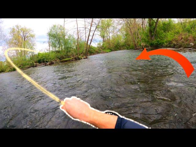 THE HUNT FOR GIANT TROUT Ep 1 | A High Water Giant!