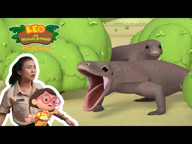 A REAL DRAGON?!?!  | Komodo Dragon | Leo the Wildlife Ranger | #minisode | Kids Cartoons