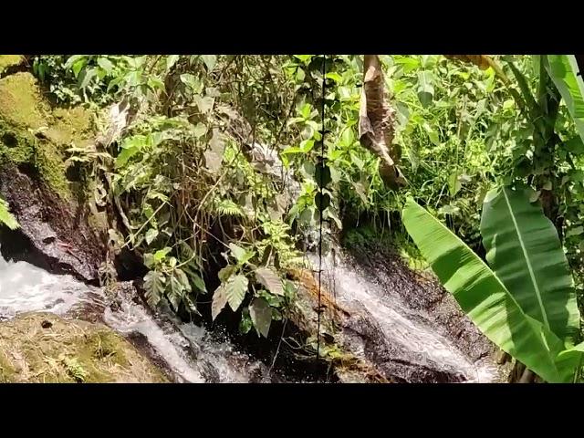 Refreshing spring water coming from Nayong Kalikasan Farm falls