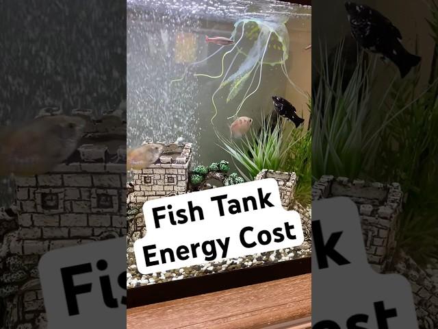 Running a fish spa or an underwater power plant? Measuring fish tanks energy bill #fyp #electricity