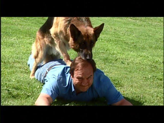 K-9: P.I. - Making Of