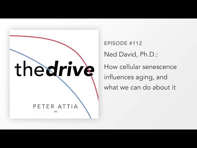 #112 – Ned David, Ph.D.: How cellular senescence influences aging, and what we can do about it