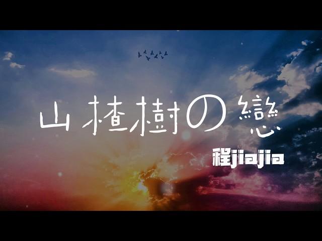 抖音 程jiajia - 山楂樹之戀（女声） 『我的山楂树之恋 永远站在你的身边』《動態歌詞Lyrics》