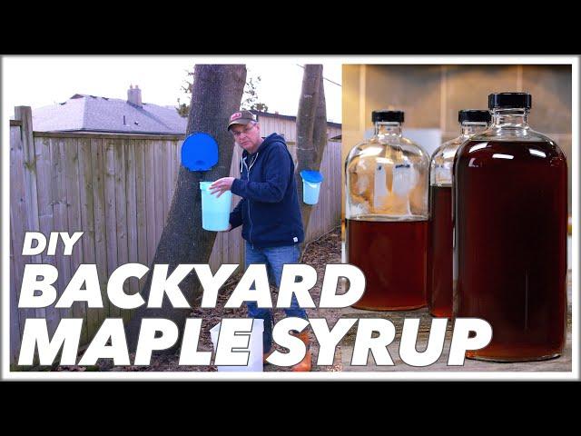 This Is How To Make Maple Syrup In Your Backyard