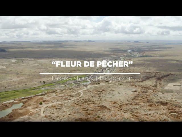 "Fleur de pêcher" - Gem mining stories in Ilakaka , Madagascar, 2019.