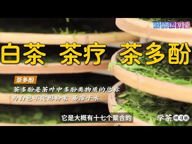 白茶：茶疗，茶多酚，弱碱性食疗