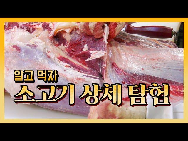 소고기 4분도체 상체 부위 발골! #2 알고 먹자 소고기 상체 탐험