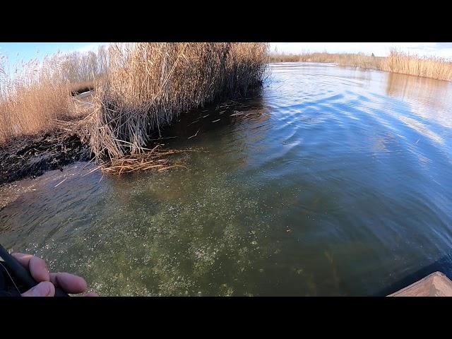 EARTHQUAKE WHILE FISHING