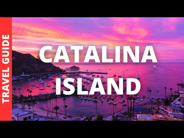 Catalina Island California Travel Guide: 18 BEST Things To Do In Catalina Island