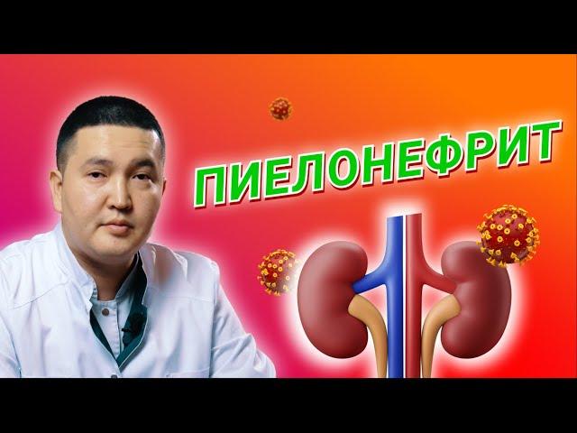 Пиелонефрит: почему он возникает и как его лечить?