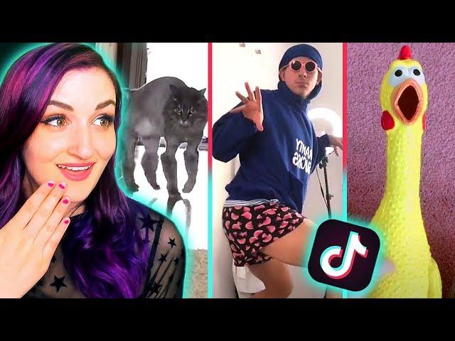 Reacting To Tik Toks That Are Actually Funny 5