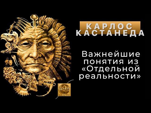 Карлос Кастанеда. Важнейшие понятия из «Отдельной реальности»