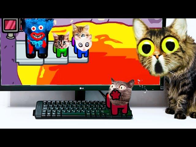 Cat & Cartoon Cat reaction to Family  Cat Cartoon Animation.