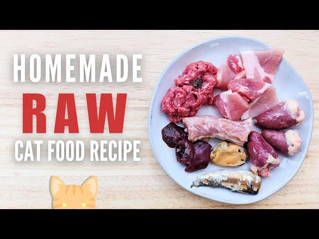 Simple Raw Food Recipe For Cats (Beginner Friendly)