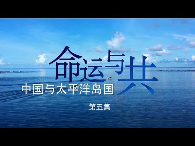 《命运与共——中国与太平洋岛国》 第五集 20181126 | CCTV