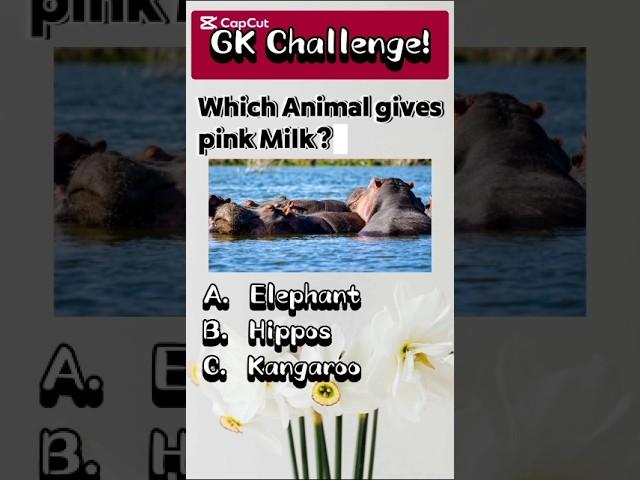 Quiz Blitz General Knowledge #shorts #quiz #gk