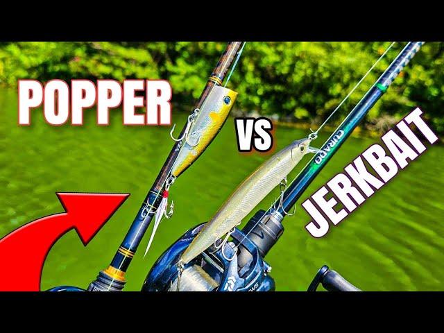 Topwater Popper Bass Fishing vs Jerkbait (USE BOTH!)