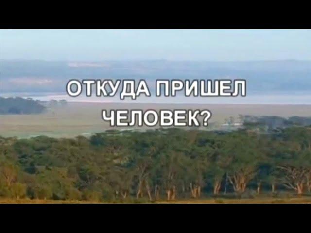 Откуда пришел человек? По следам тайны @SMOTRIM_KULTURA