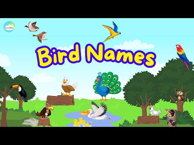 Birds Name | Learn Bird Names in English | Kids Vocabulary | English Educational Video