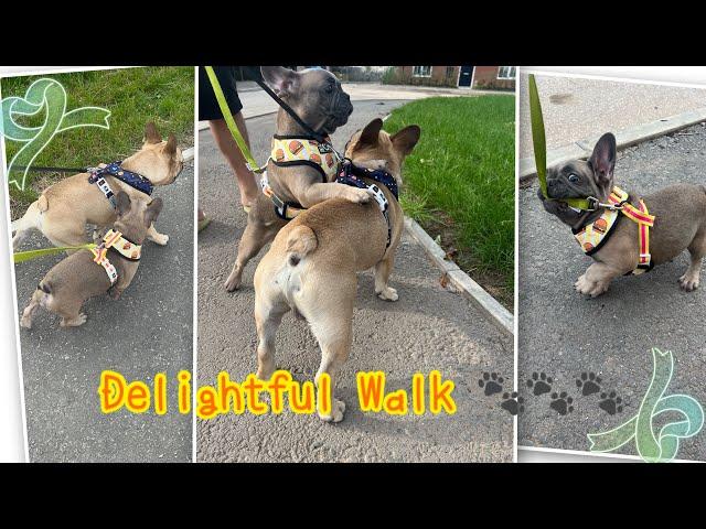 Delightful walk 