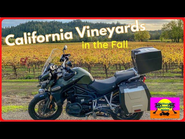 California Vineyard Motorcycle Ride in the Fall